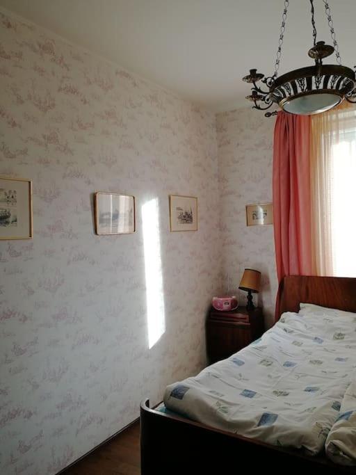 Cozy, Stylish In The Heart Of The Town Apartment *